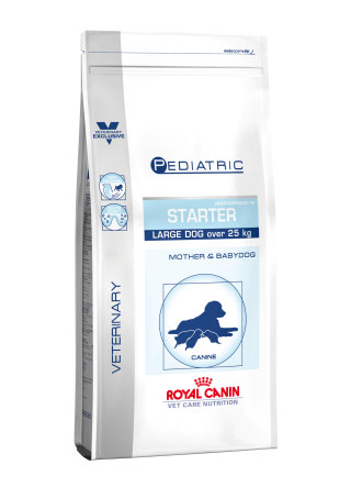 Pediatric starter large dog